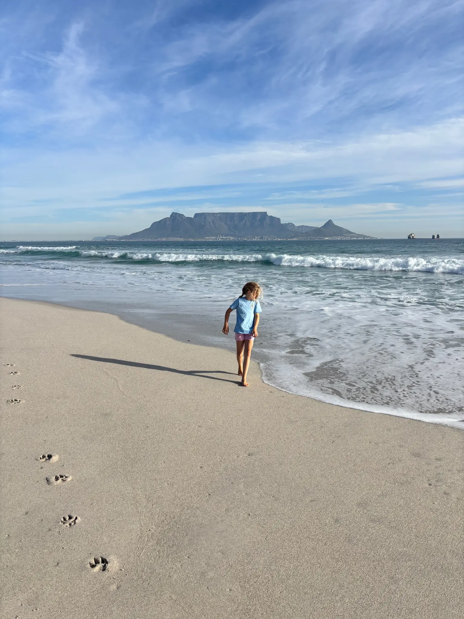 Merle läuft am Strand, dahinter der Tafelberg